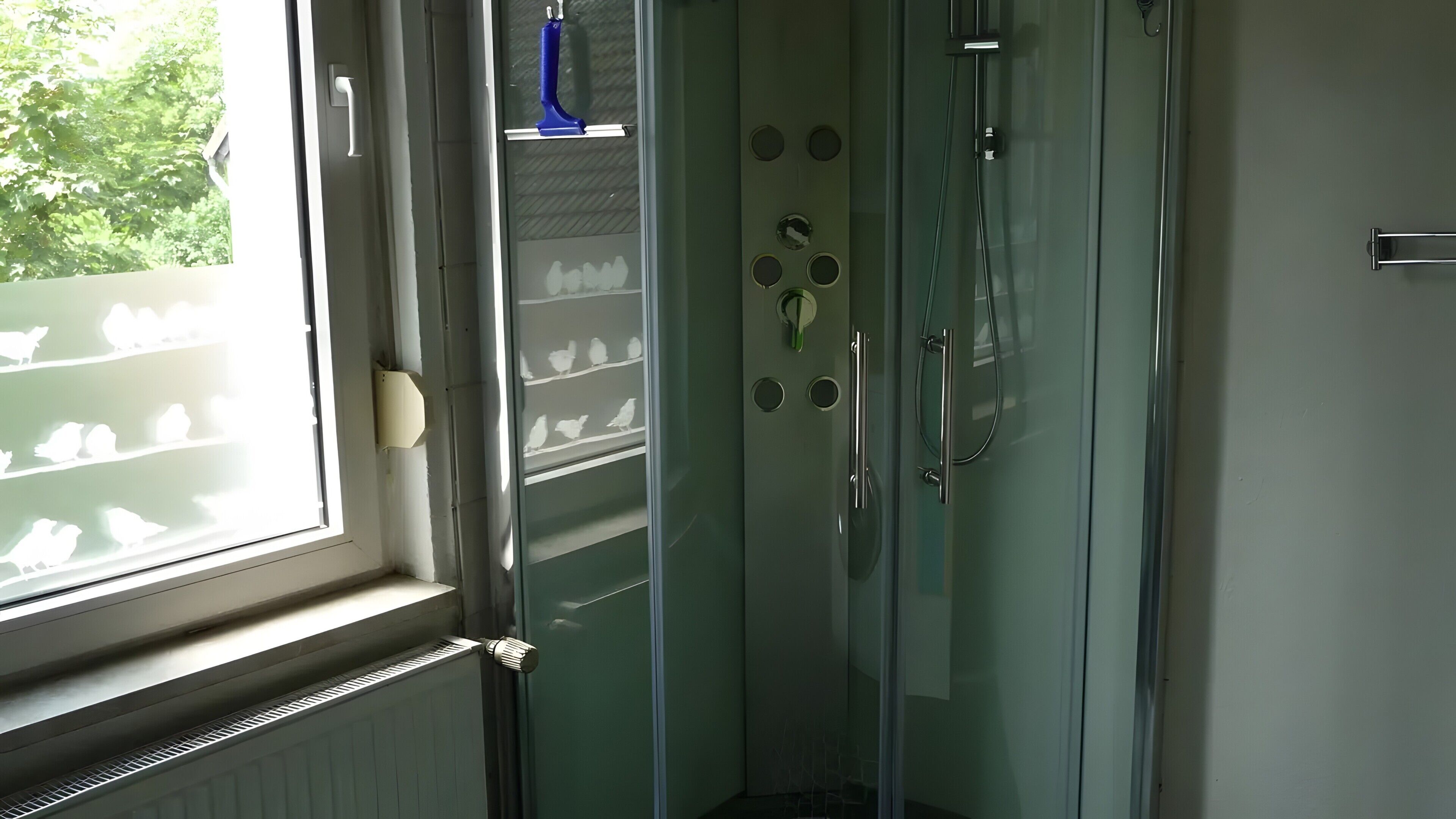 Een douche, een haardroger, handdoeken