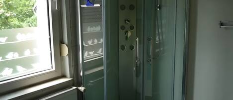Shower, hair dryer, towels