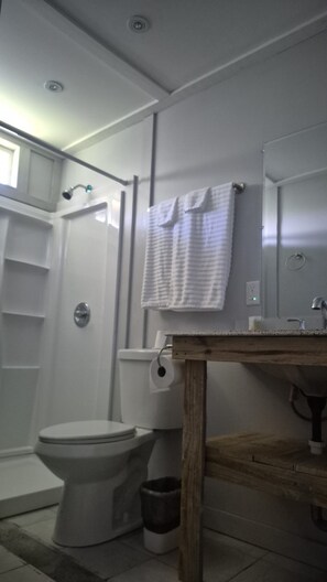 Shower, towels, soap, toilet paper