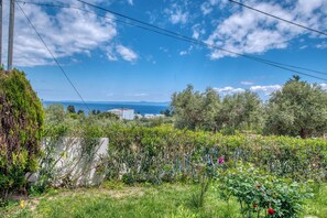 Un giardino con vista sul mare, una recinzione e alcuni alberi.