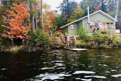 Cedar Cabin: Luxe cabin with panoramic lake views