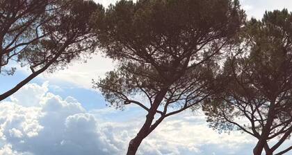 Villa Bergamotti: Toscaanse elegantie en verwarmd zwembad