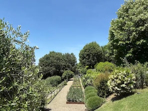 A garden pathway with various plants and trees. - Villa Bergamotti: Toscaanse elegantie en verwarmd zwembad (buonconvento)