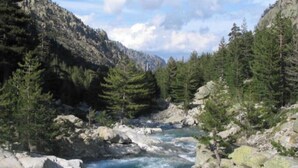 A river flowing through a forested valley with rocky terrain and dense trees. - Apartment Located on the ground floor of a quiet residence (Corte)