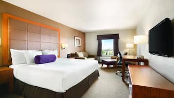 A hotel room with a large bed, a desk, a television, and a view of the outdoors.