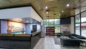Zona de recepción con mostrador, área de descanso con sofá y mesa de centro, y una estantería.