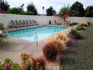 A swimming pool with lounge chairs and umbrellas, surrounded by landscaped garden beds and a white wall. - Motel6 San Simeon, CA - Hearst Castle Area (San Simeon)
