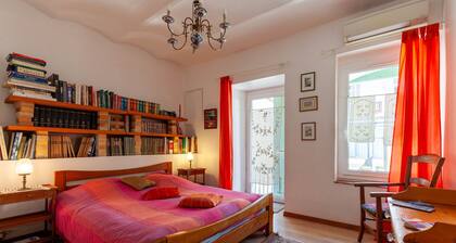 Chambre dâhĂŽtes « Les Citronniers - BibliothĂšque » avec terrasse partagĂ©e, Wi-Fi et climatisation