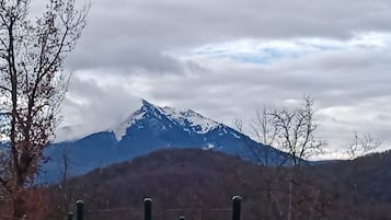Miscelánea