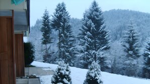 Paisatge nevós amb arbres de fulles perennes i l'entrada d'un edifici de fusta.
