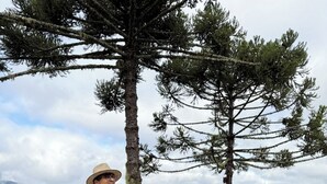 Un couple est assis à une table sur une terrasse en bois, profitant d’une vue magnifique sur les montagnes.