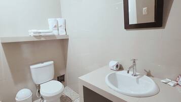Toallas, jabón, champú y papel higiénico