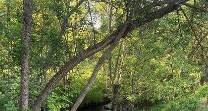 Close to Yosemite National Park. Walking distance to restaurants & shopping
