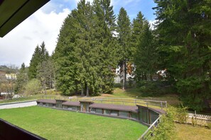 Blick auf eine Wiese mit einer Reihe von Ferienhäusern, umgeben von hohen Bäumen.