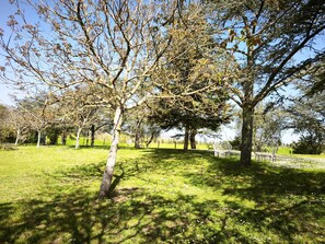 Ein Park mit Bäumen, Gras und einer weißen Metallskulptur.