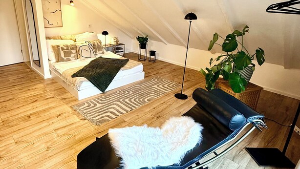 A room with a bed, a lounge chair, a plant, and a floor lamp. - Rooftop Lounge Studio Apartment directly at the University Hospital Homburg (Homburg)