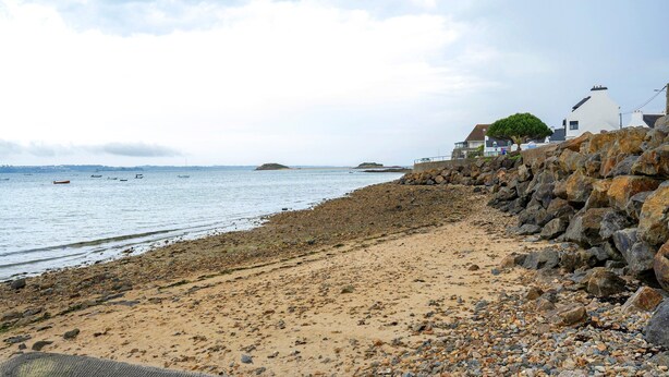 A rocky beach with a white building and a tree.