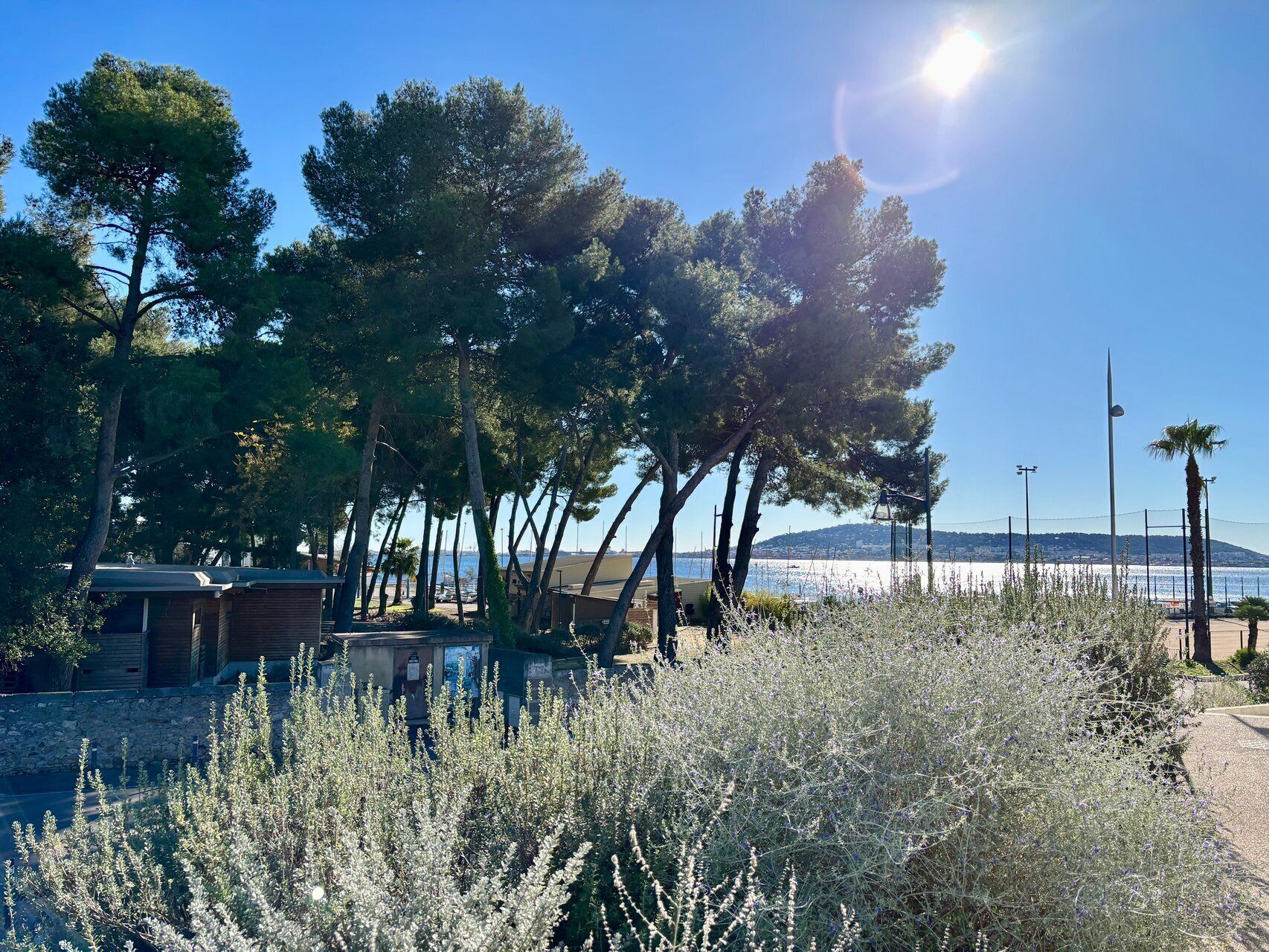 Een kustgebied met bomen, een heldere lucht en uitzicht op zee.