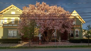 A two-story house with a large tree in front, a visible front yard, and a street in the foreground. - Spacious hotel efficiencies walking distance to all Saratoga has to offer (Saratoga Springs)