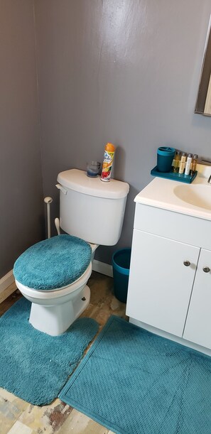 Hair dryer, towels, soap, toilet paper