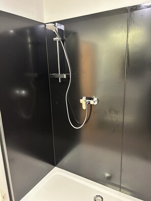 Shower, hair dryer, soap, toilet paper