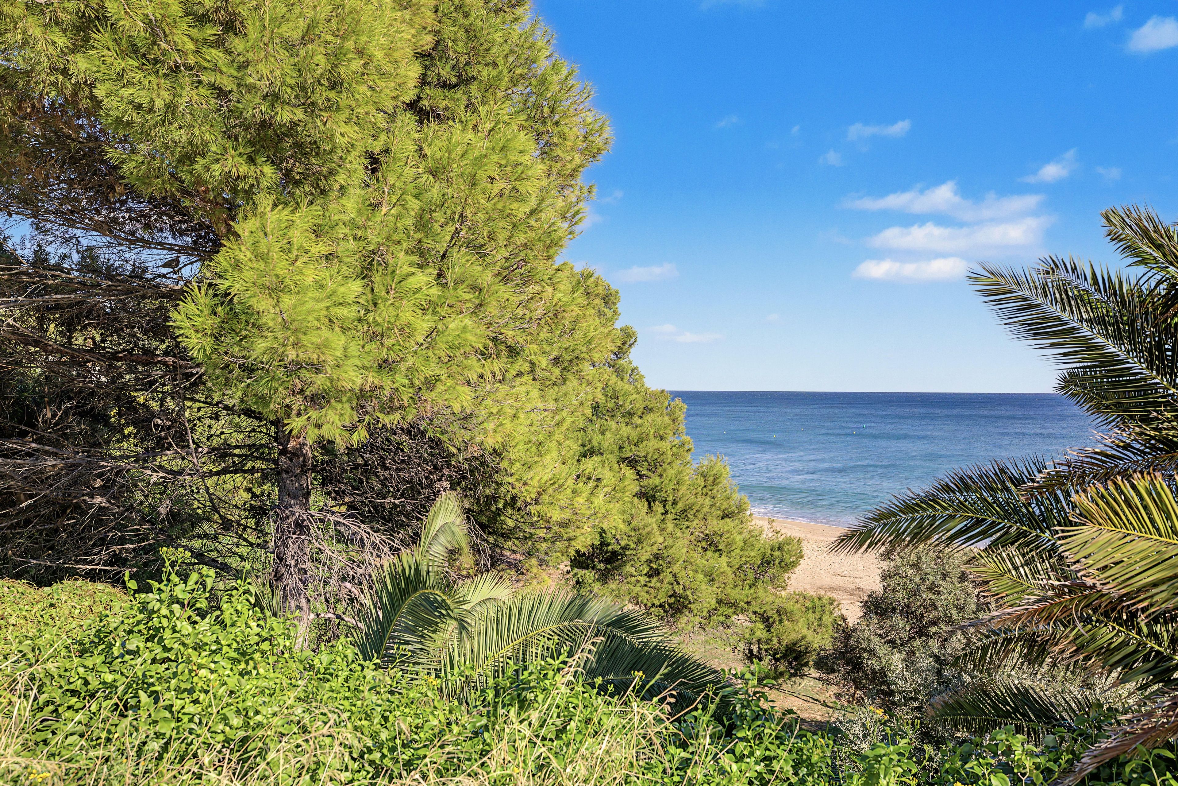 A coastal landscape with dense greenery and a beach.