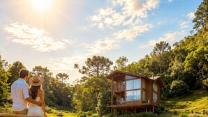 Une cabane en bois dotée d’une terrasse donnant sur un étang, entourée d’une végétation luxuriante et d’arbres.