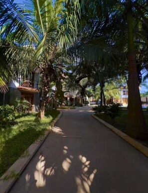A pathway lined with palm trees and buildings, leading to a gated entrance. - Cozy Diani Studio with Pool Near the Beach (Diani Beach)