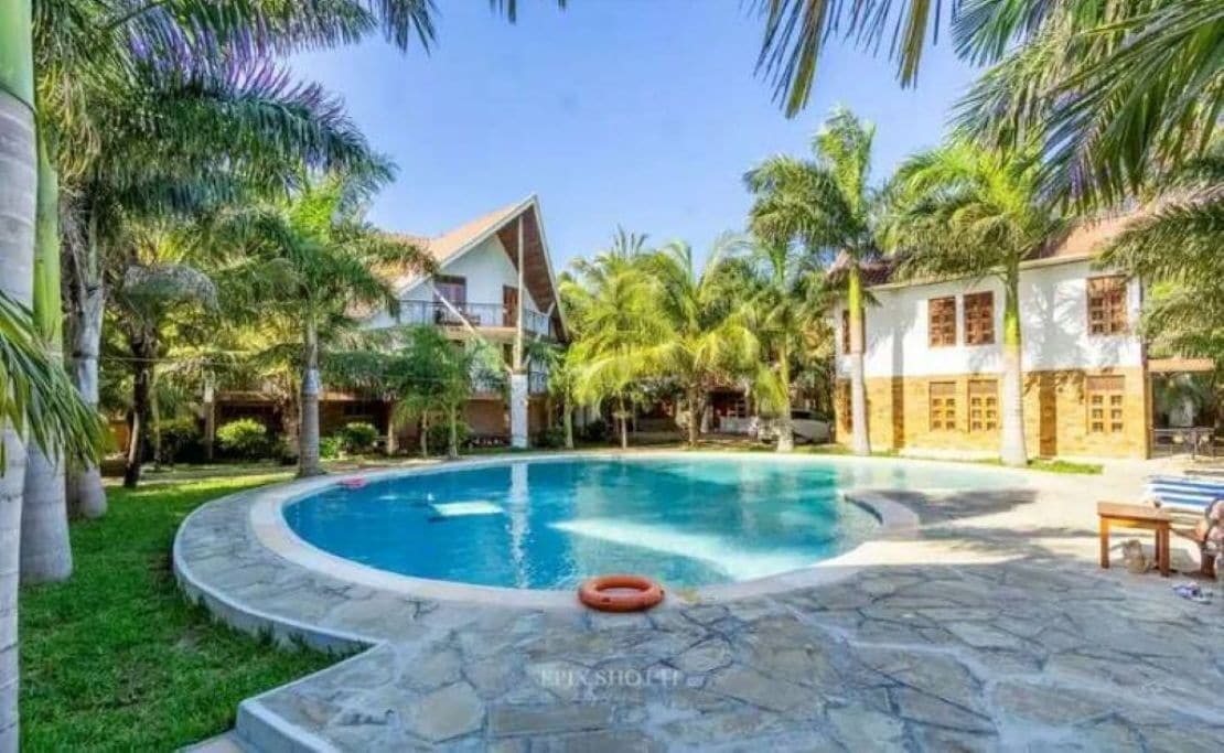 Piscina rodeada por palmeiras e um deque de pedra.