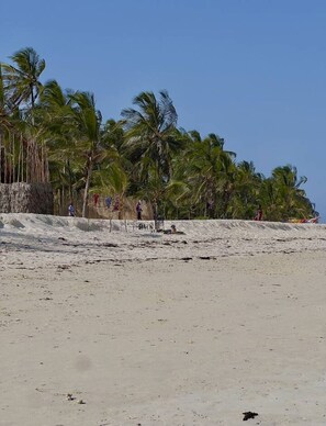A beach with palm trees and a sandy shore. - Cozy Diani Studio with Pool Near the Beach (Diani Beach)