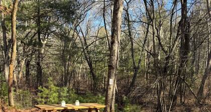 Wilderness Camp