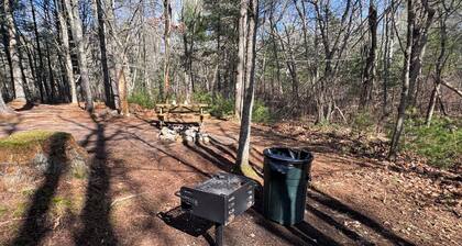 Wilderness Camp
