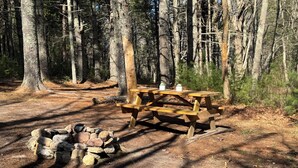 Et picnicbord med bålsted i et skovområde.