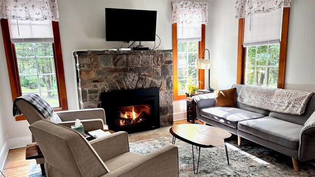 A living room with a stone fireplace, a flat-screen TV, a grey sofa, and a patterned rug. - Private Oasis Awaits ! Hot Tub, Fire Pit, nap in the Hammock under the trees (Canadensis)