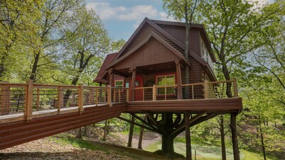 Hilton Grand Vacations Club Branson Cedars Ridgedale