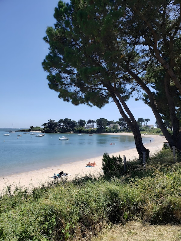A beach with boats, a sandy shore, and a large tree. - Gavrinis, 600 m from Beach, Parking, Wi-Fi – Private Terrace & Garden (Sarzeau)