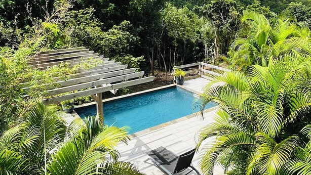 Ein Pool, umgeben von üppigem Grün und einer Holzterrasse.