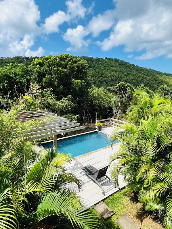 Une piscine entourée d’une végétation luxuriante et dotée d’une terrasse en bois.
