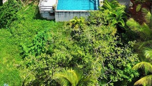 Ein modernes, zweistöckiges Haus mit Swimmingpool, umgeben von üppiger Vegetation und einem eingezäunten Garten.