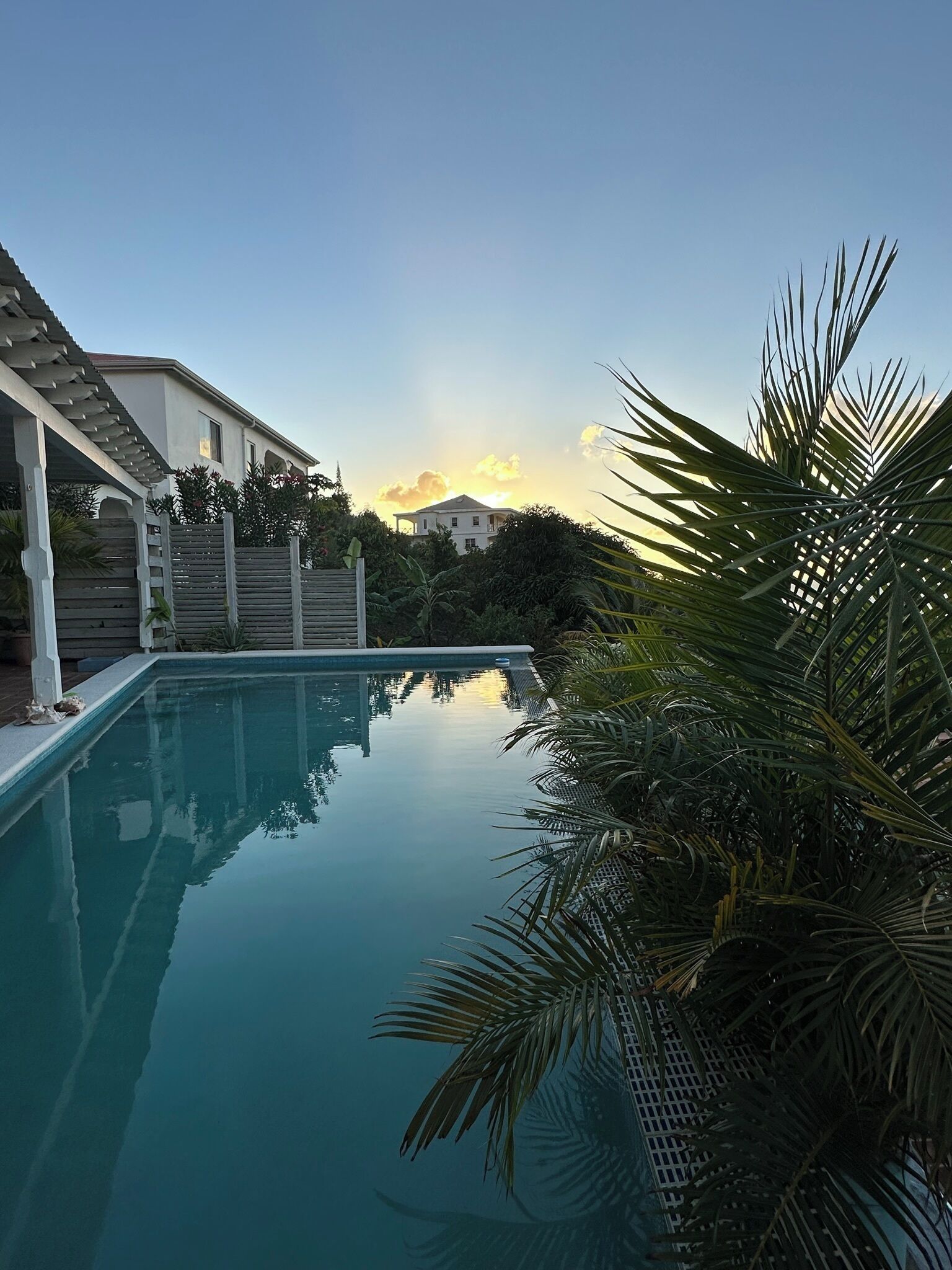 Une piscine avec une terrasse en bois et une pergola, entourée d’une végétation luxuriante et avec une maison en arrière-plan.