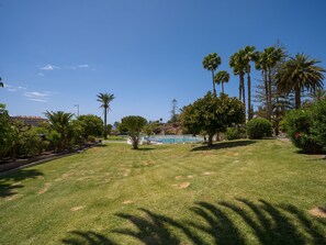 Ein gepflegter Rasen mit Swimmingpool, Palmen und blauem Himmel.