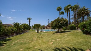 Un área verde bien cuidada con piscina, palmeras y un cielo azul despejado.