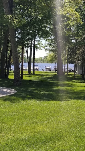 A grassy area with trees and a body of water in the background.