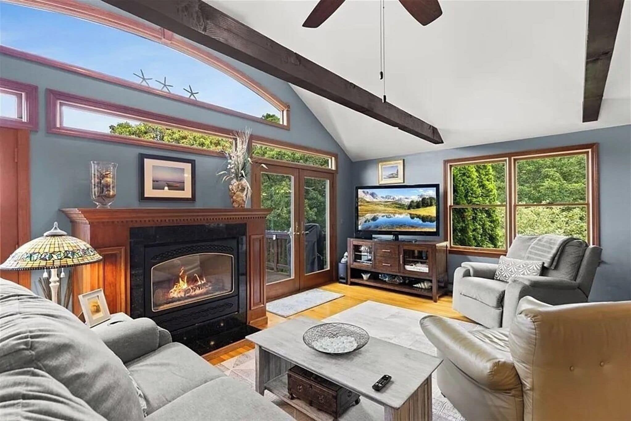 TV, fireplace