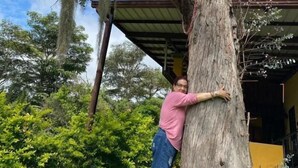 Una persona abrazando un árbol grande con una casa al fondo.