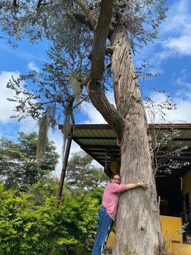 Jardin del Eden 