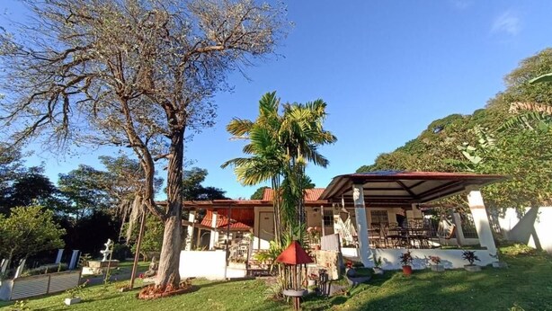 Una casa con un porche cubierto, césped y un árbol grande.