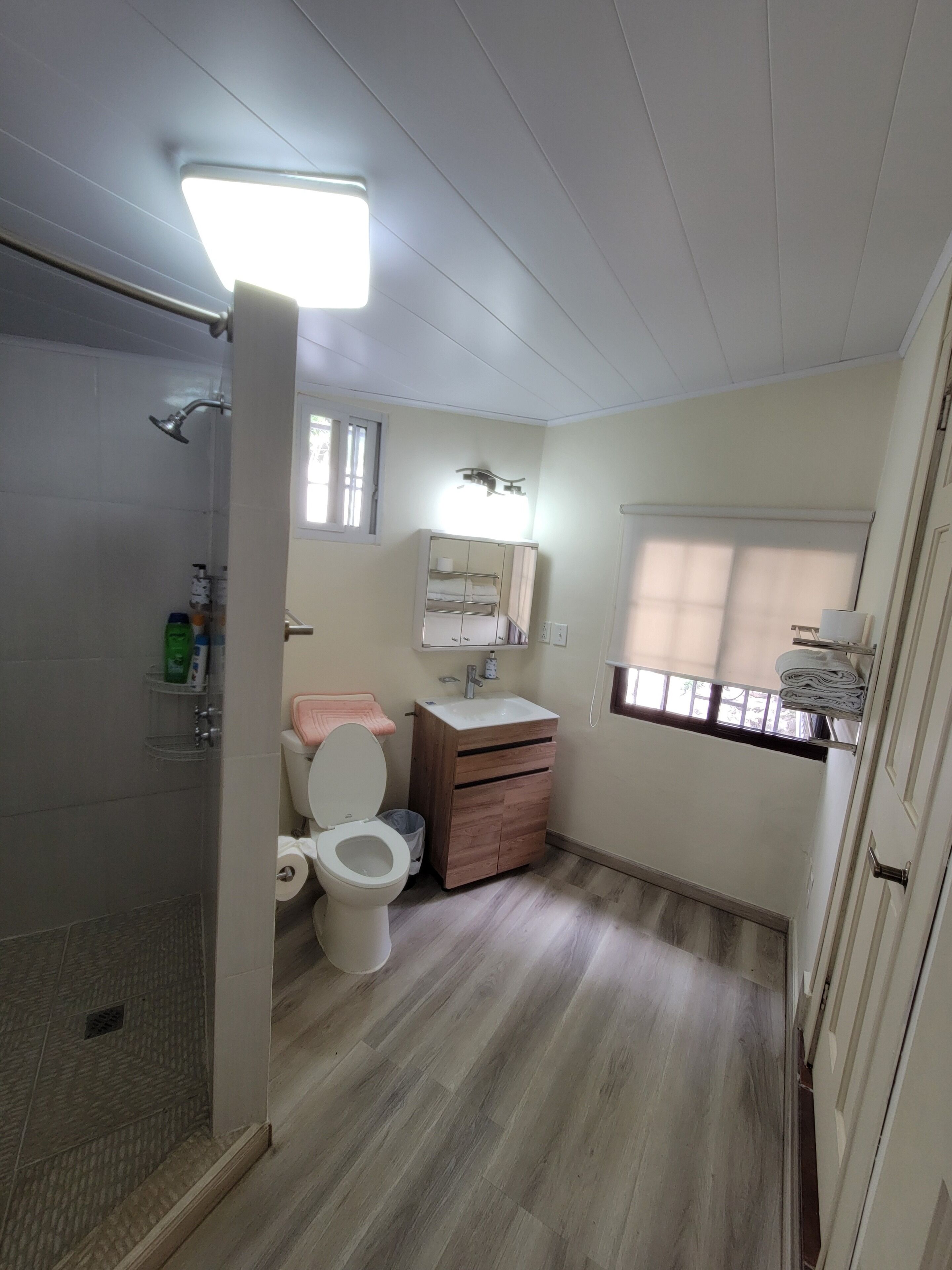 Deluxe Double Room | Bathroom | Shower, rainfall showerhead, hair dryer, towels