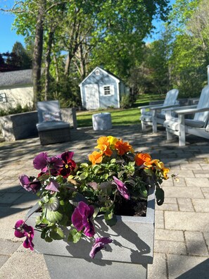 Terrace/patio - FIFA World CUP Updated historic home located near Gillette Stadium. (Dedham)