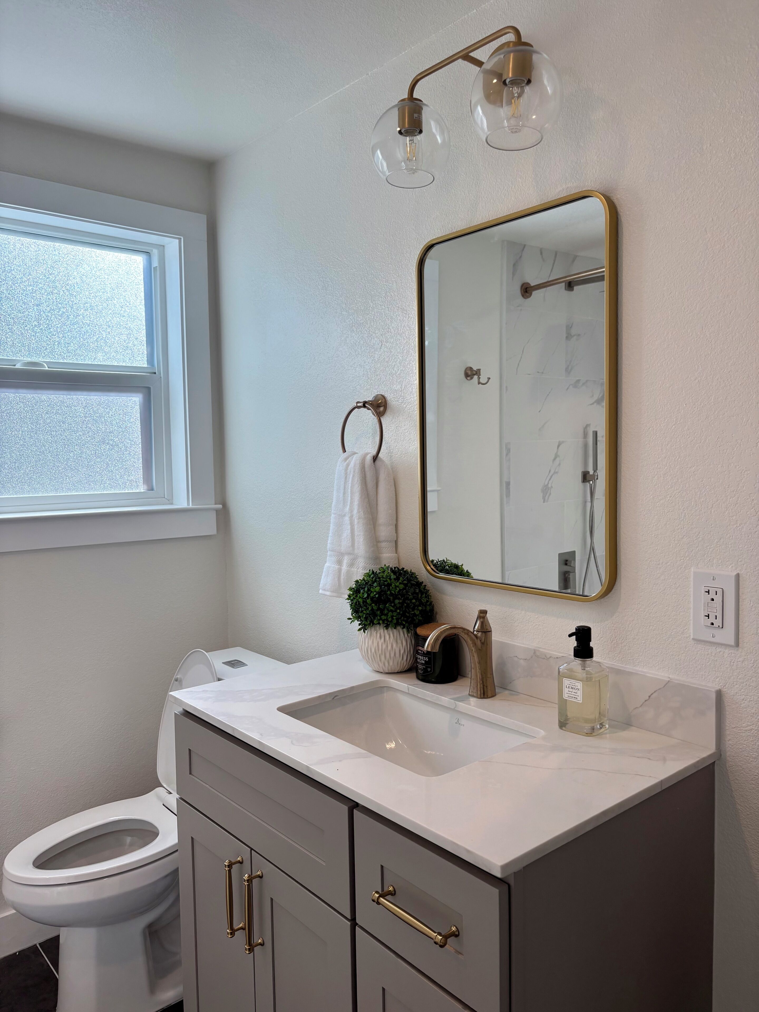 A bathroom with a white toilet, a vanity with a mirror, a sink, and a potted plant.